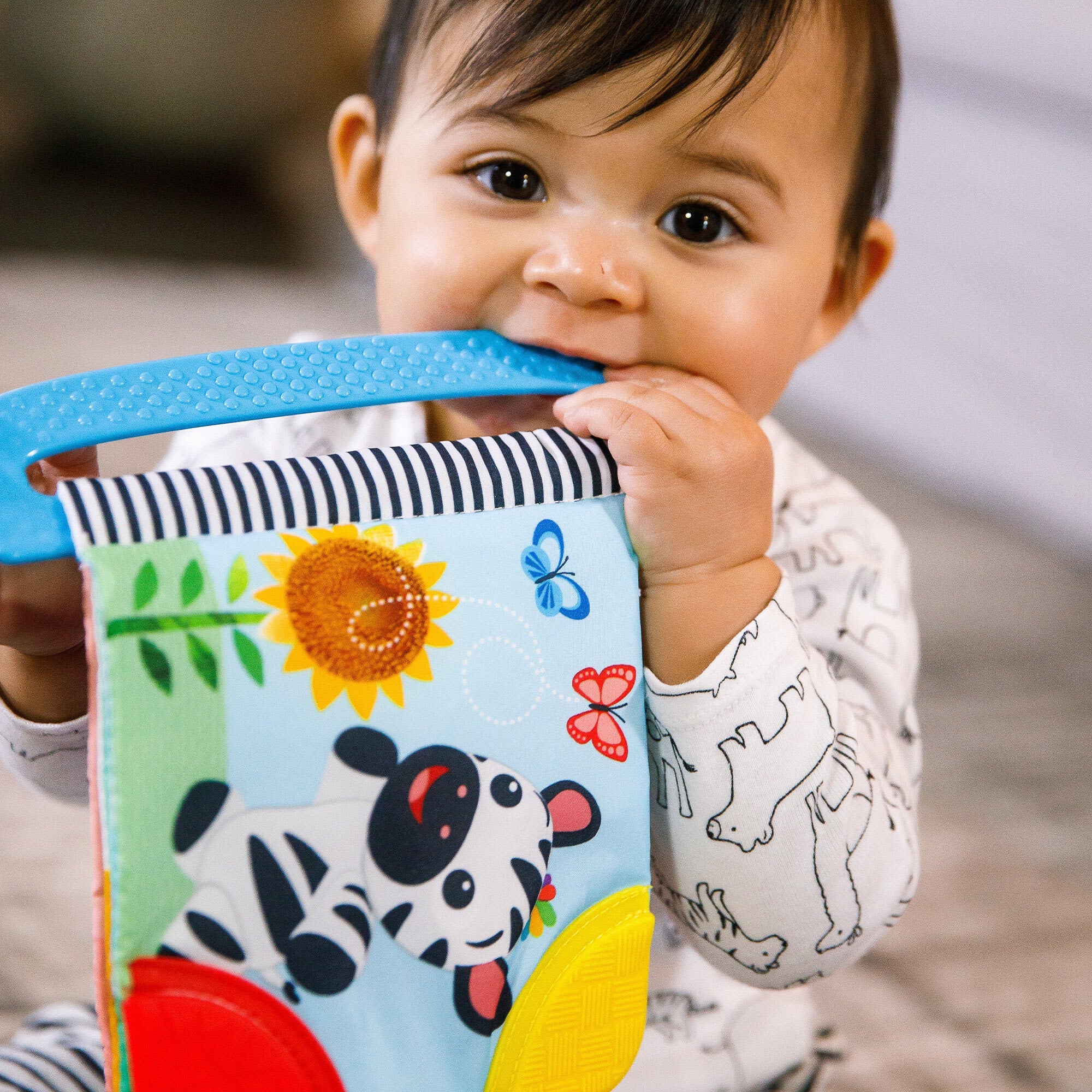 Curious Explorers Teether Bookâ„¢