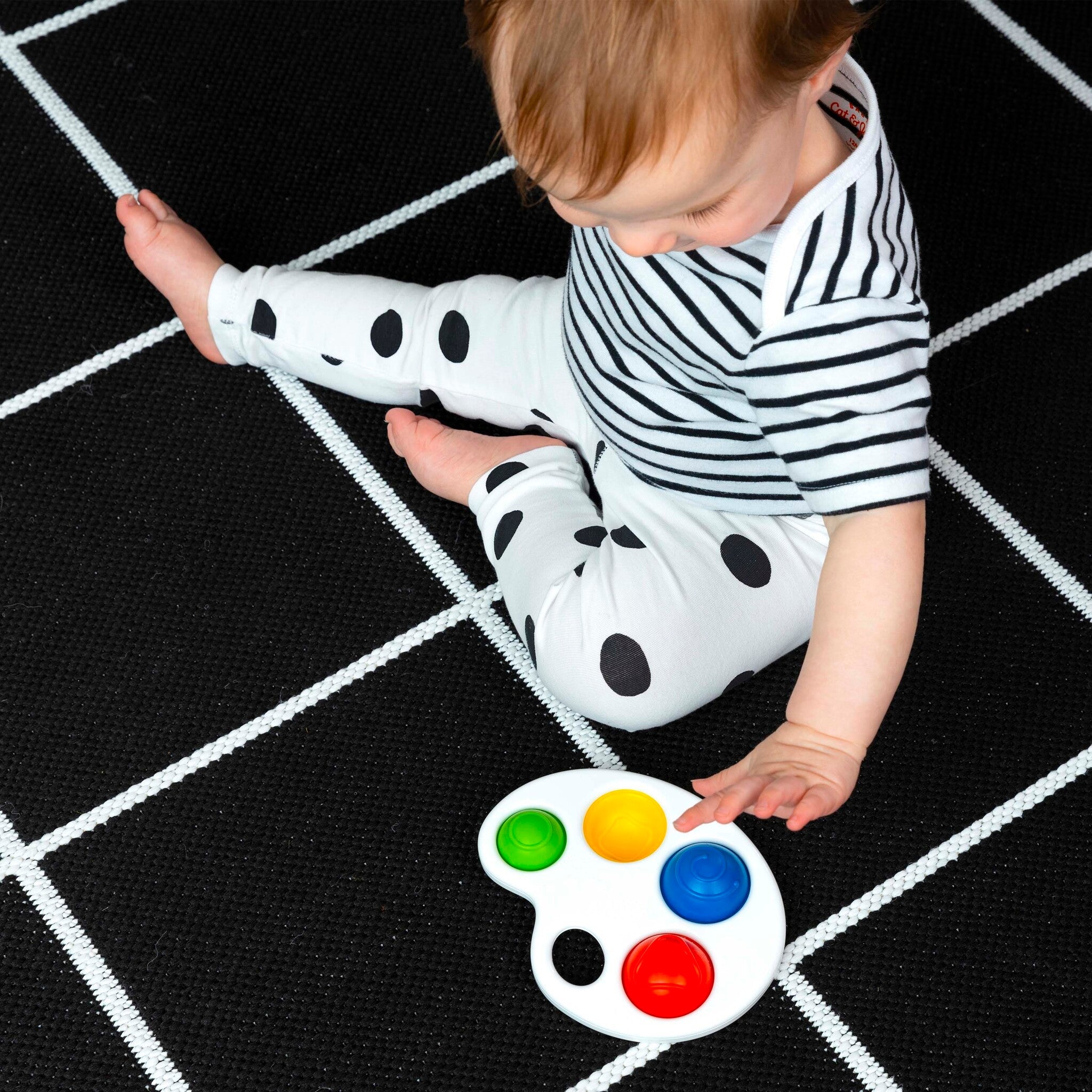 Color Pop Paletteâ„¢ Sensory Toy