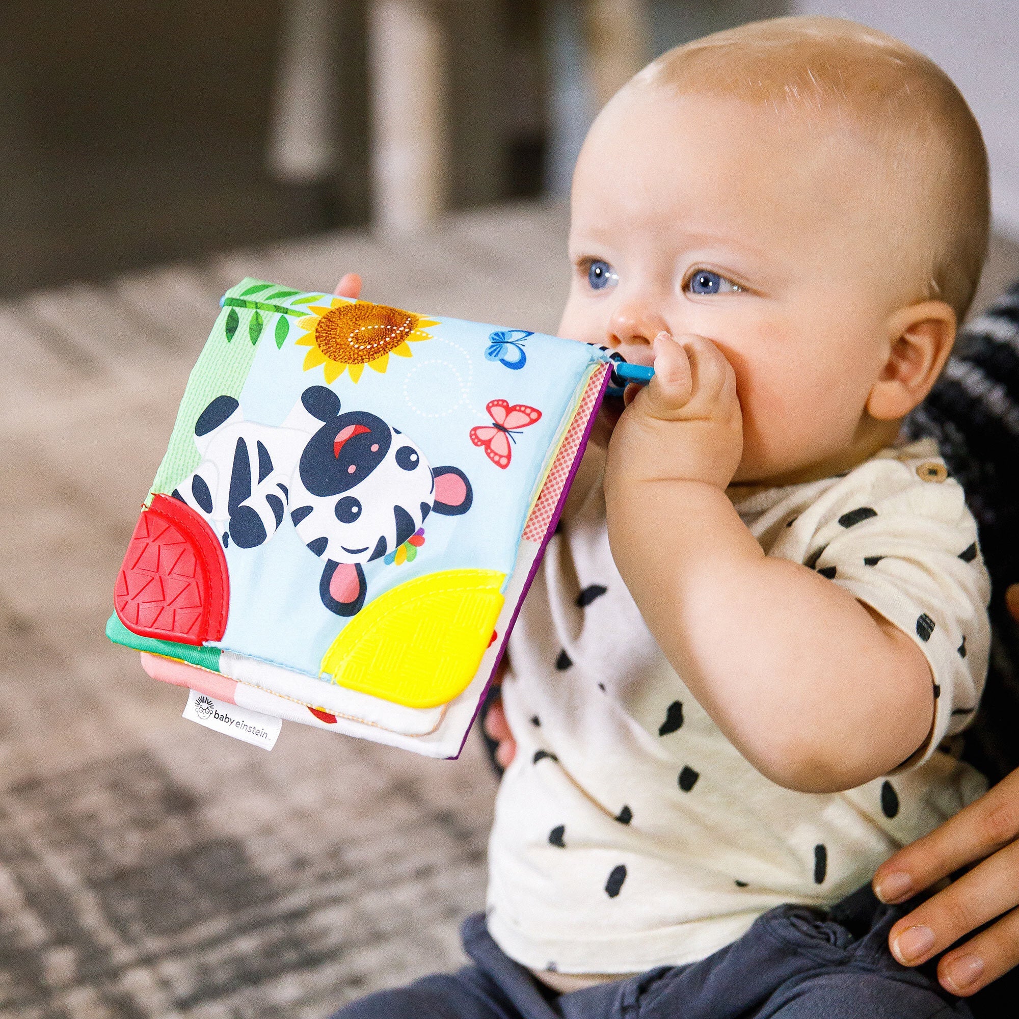Curious Explorers Teether Bookâ„¢