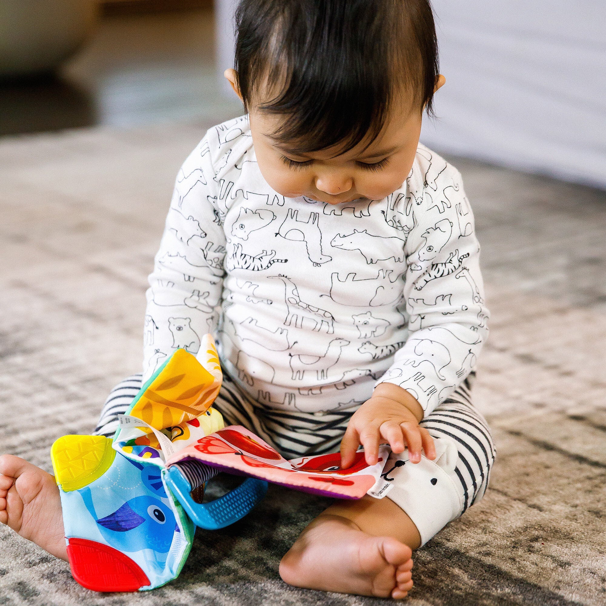 Curious Explorers Teether Bookâ„¢