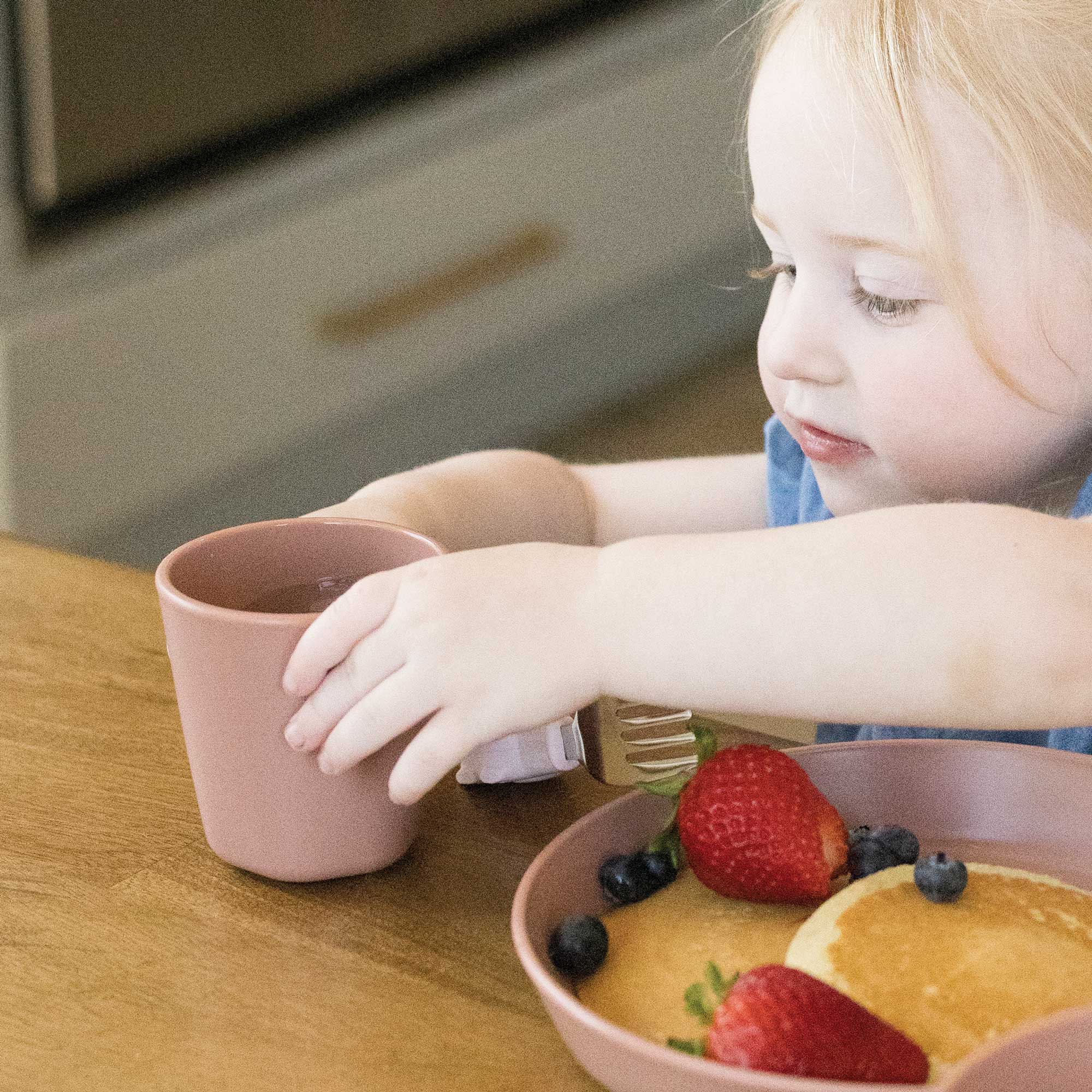 BPA-free Plastic Tableware - Plate