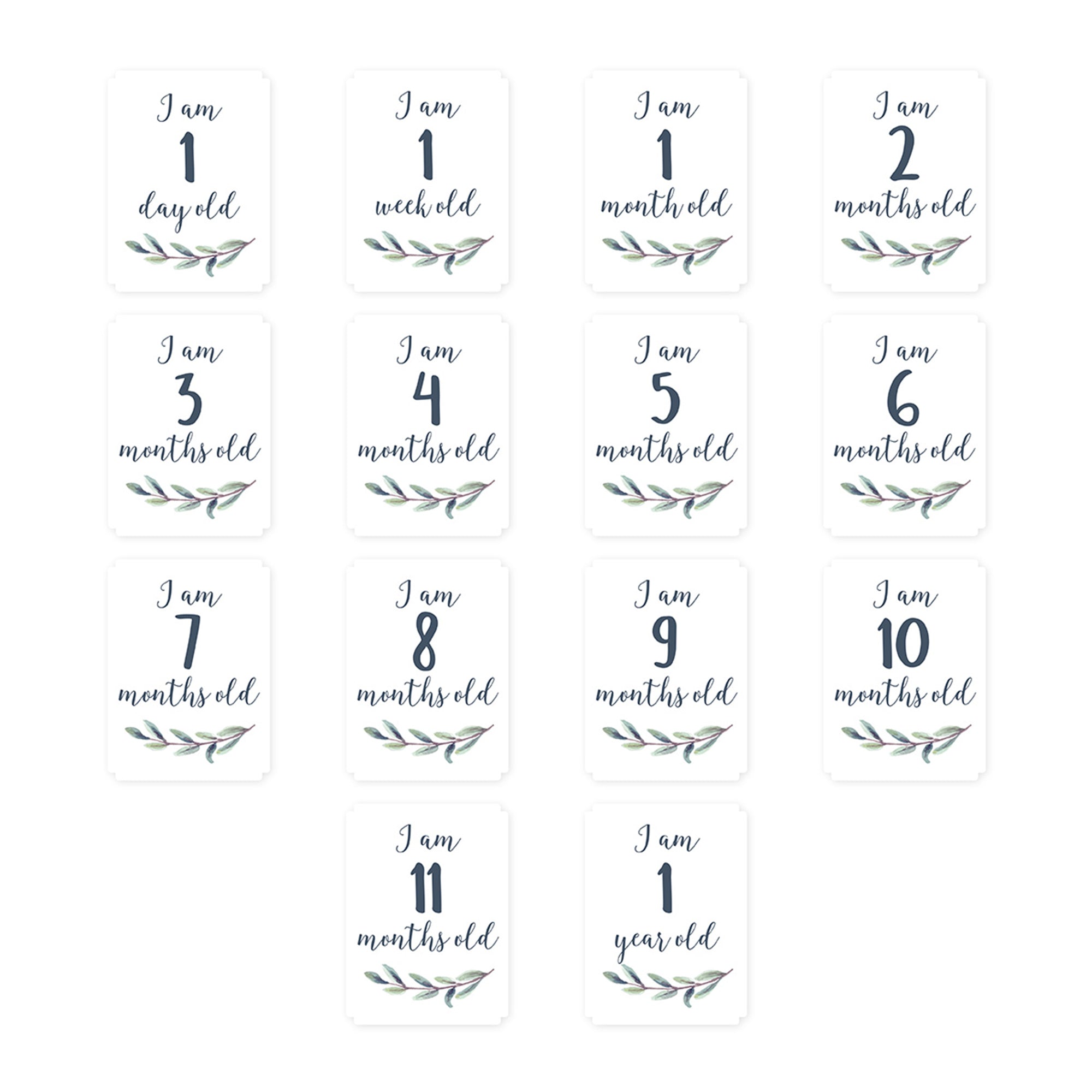 Baby's 1st Year Milestone Blanket Set