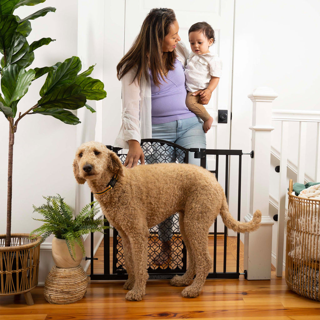 The Doorway 42W Seriesâ„¢ Gate - Espresso