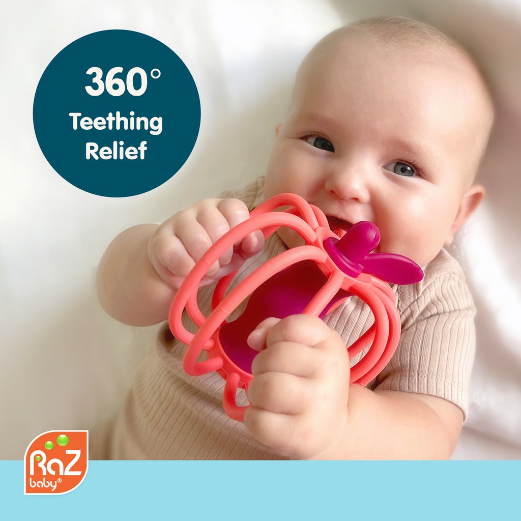 Teether & Rattle Toy