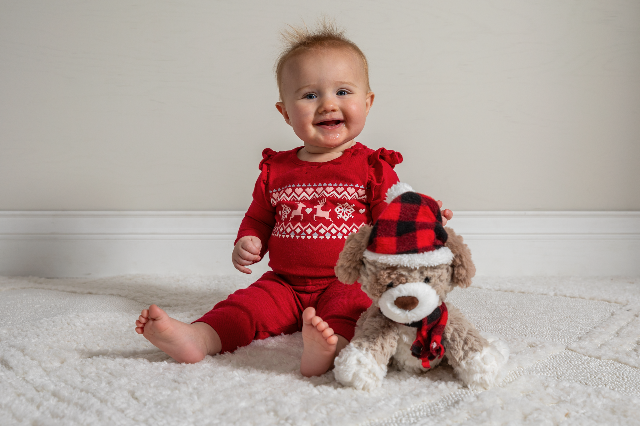 Holiday Putty - Ho Ho Ho Puppy