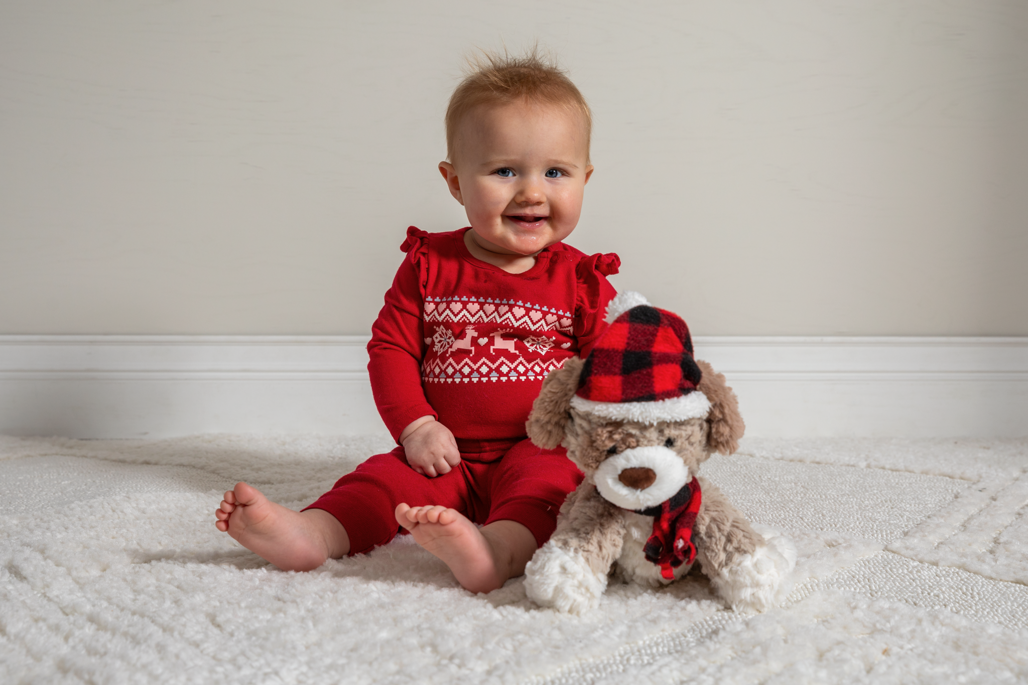 Holiday Putty - Ho Ho Ho Puppy