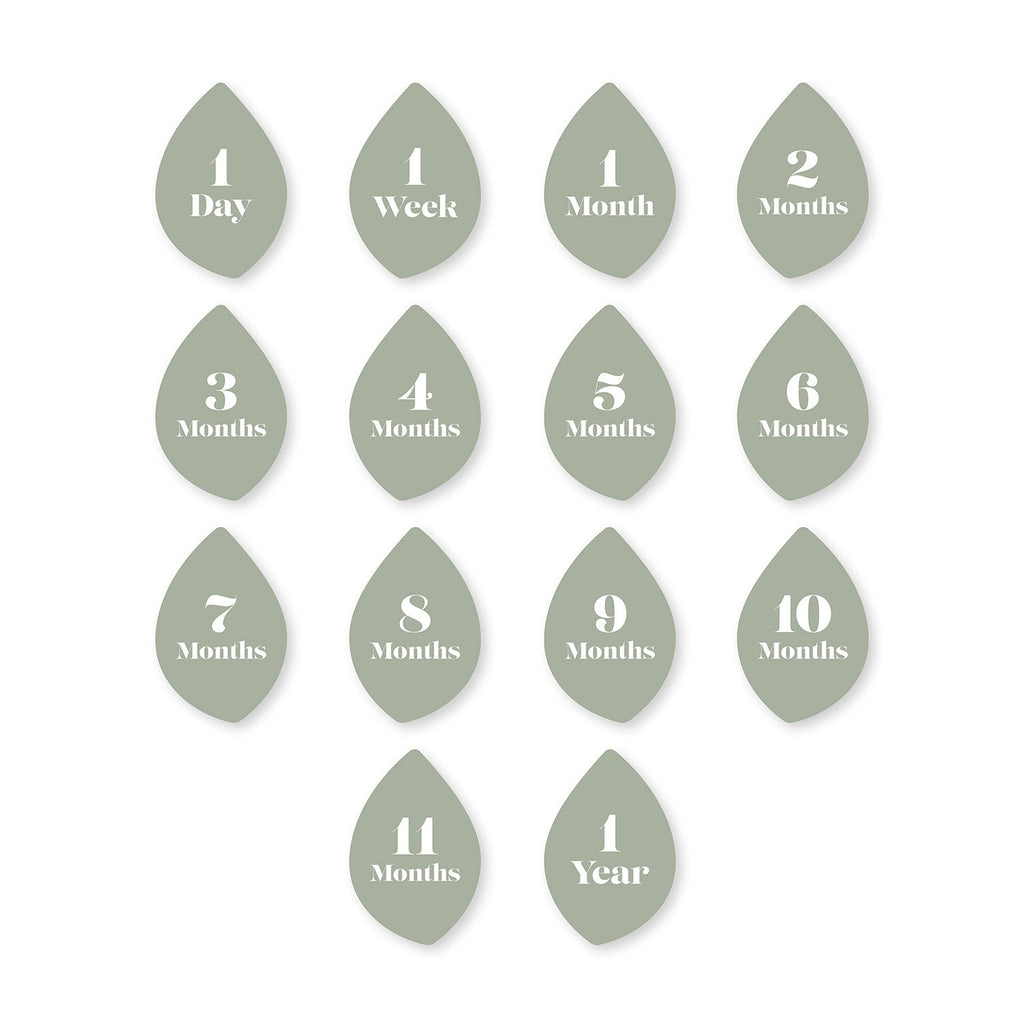 Baby's 1st Year Milestone Blanket Set