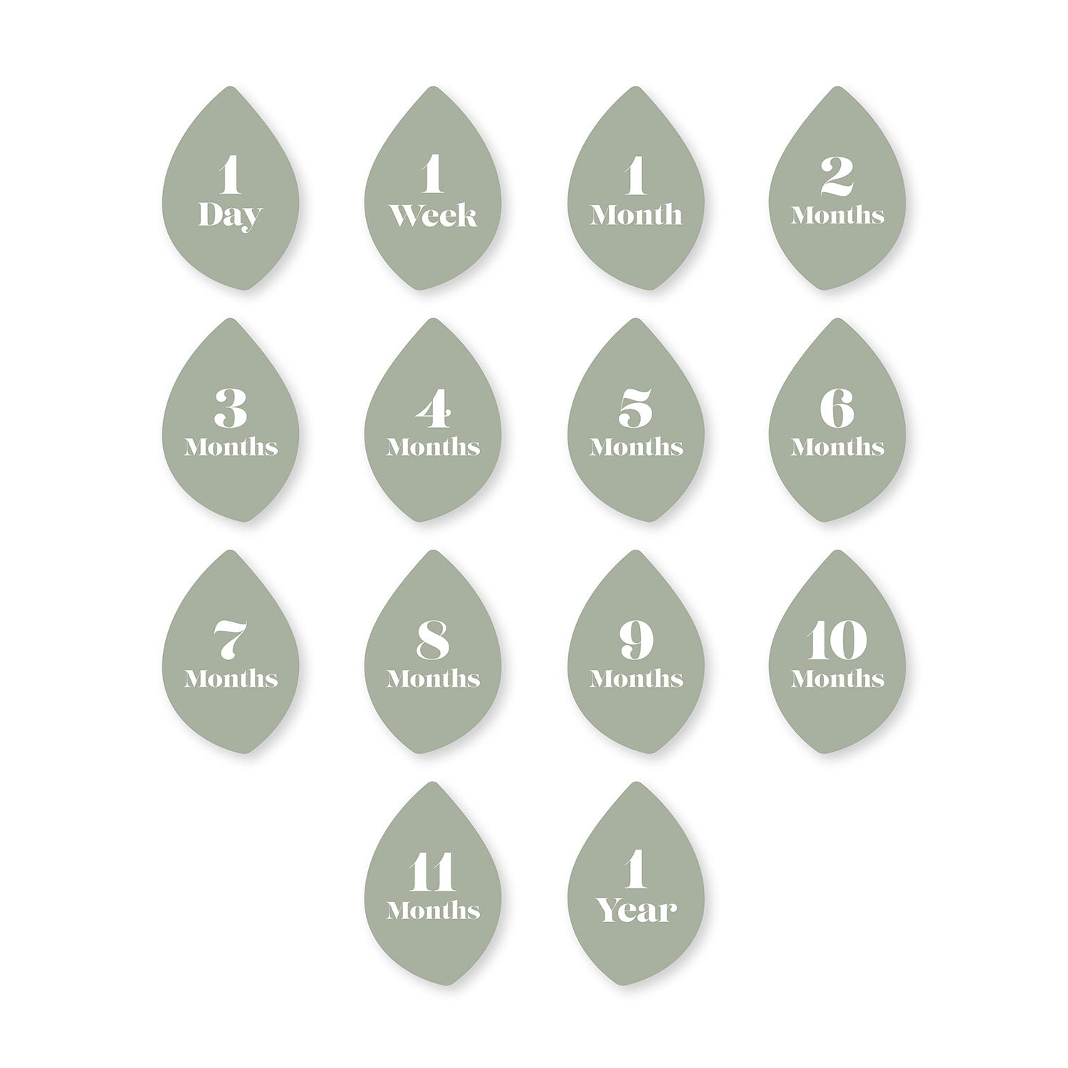 Baby's 1st Year Milestone Blanket Set