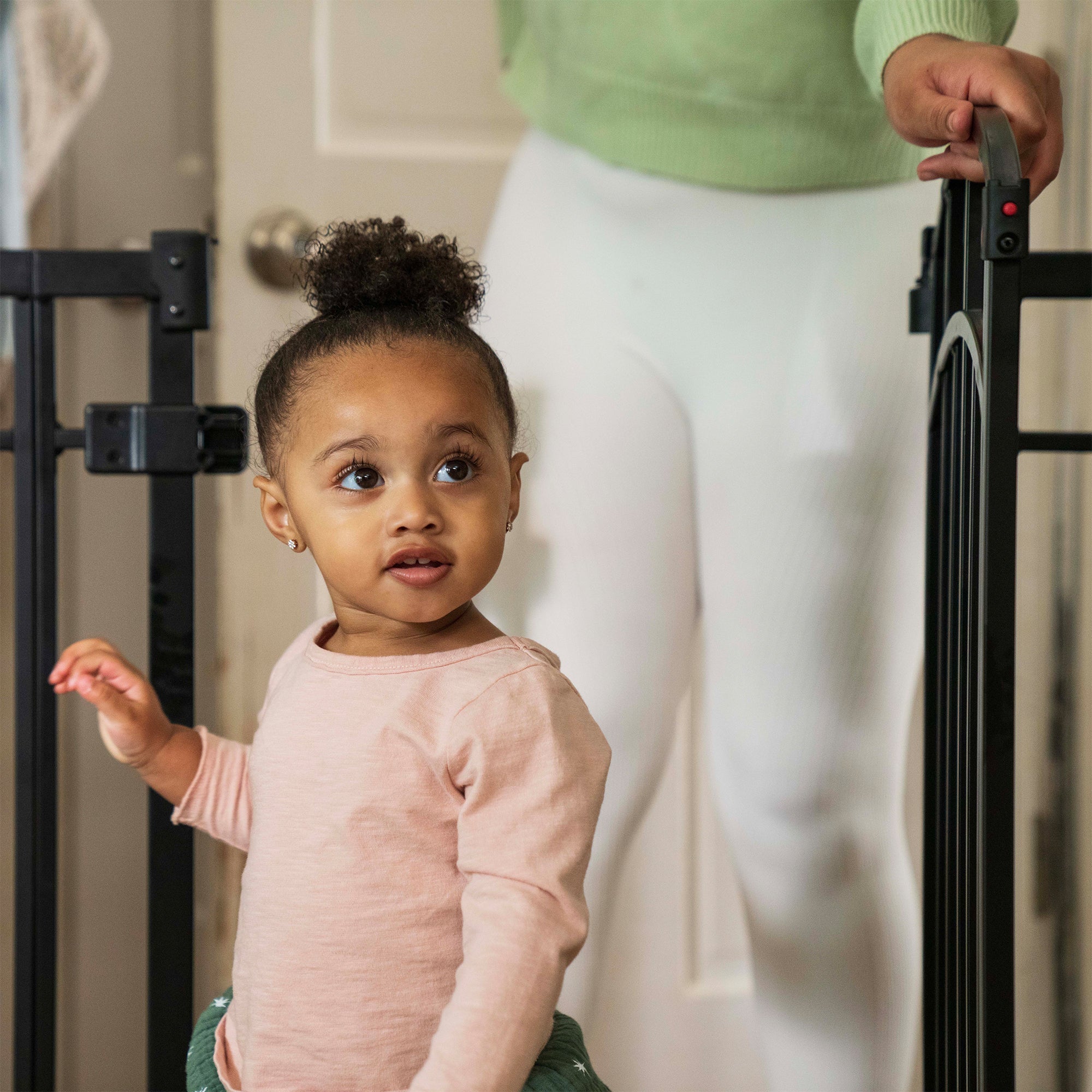 The Doorway 48W Seriesâ„¢ Gate