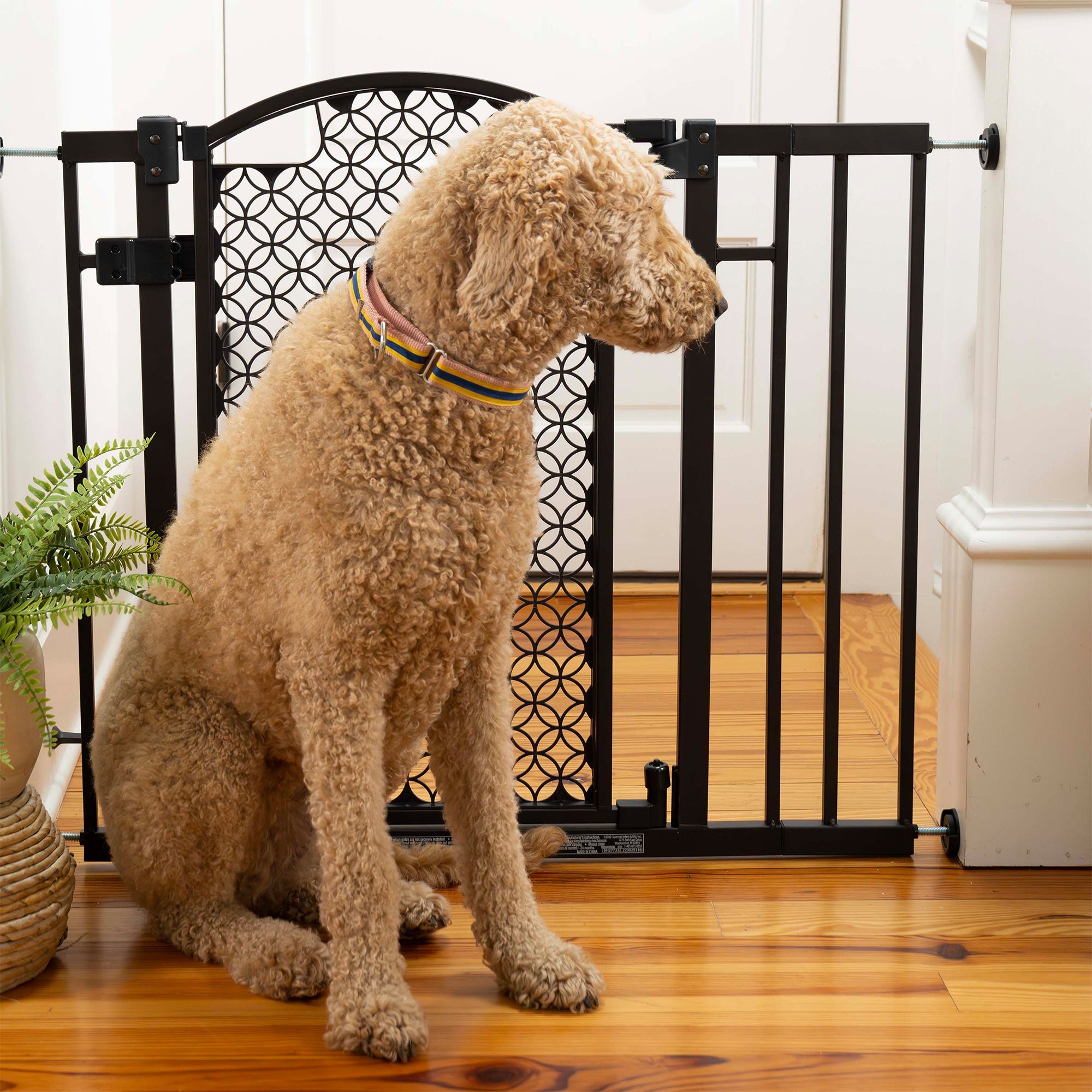 The Doorway 42W Seriesâ„¢ Gate - Espresso