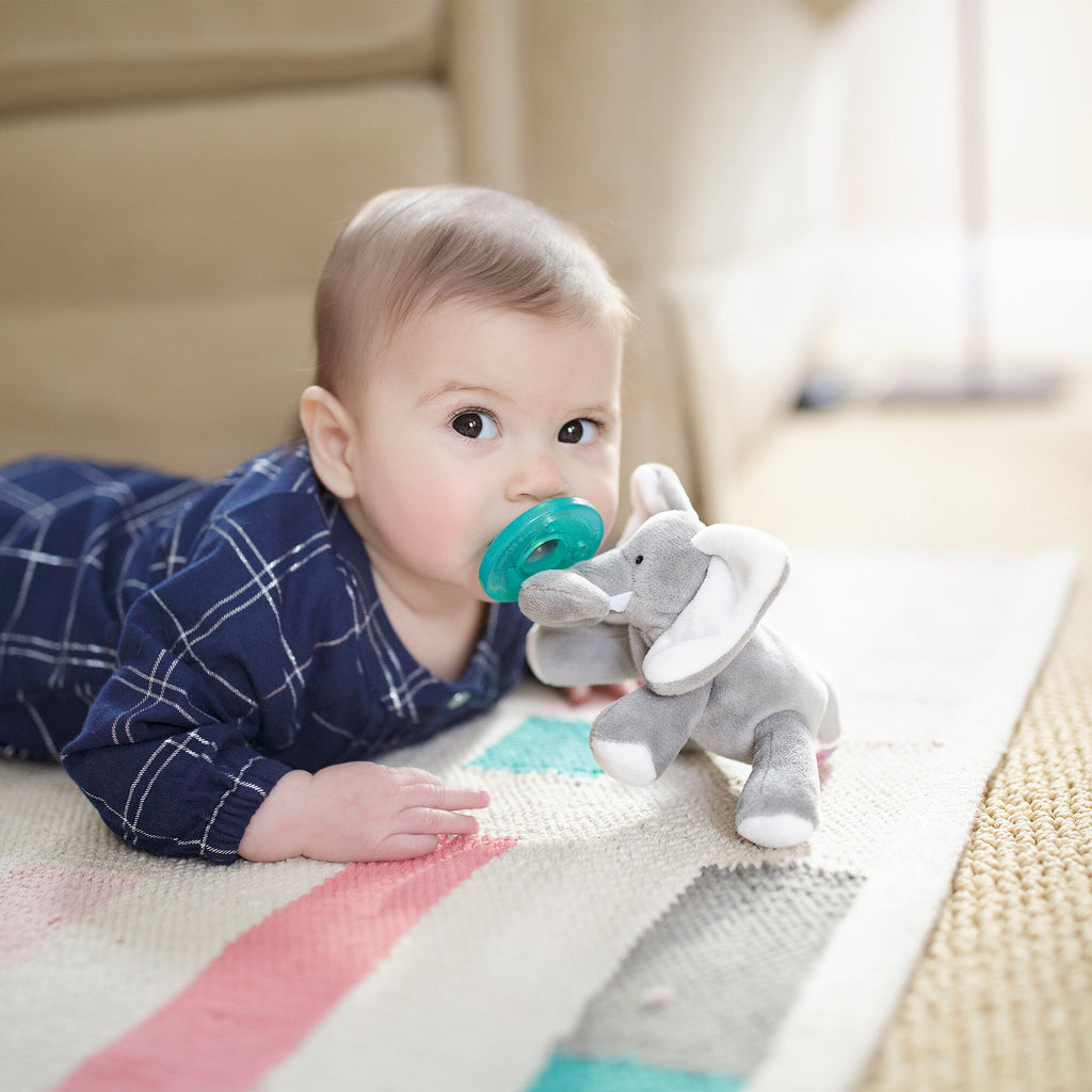 Infant Pacifier