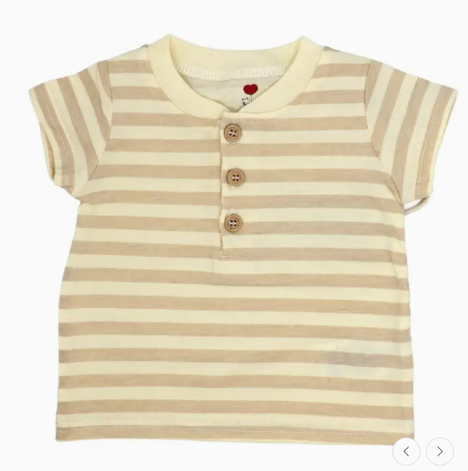 Boys 4 Piece Short Set: Dinosaur
