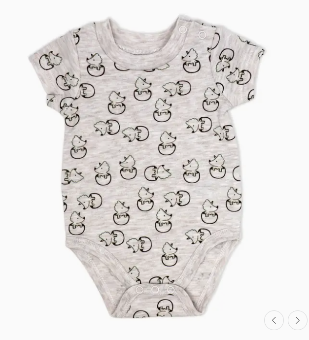 Boys 4 Piece Short Set: Dinosaur