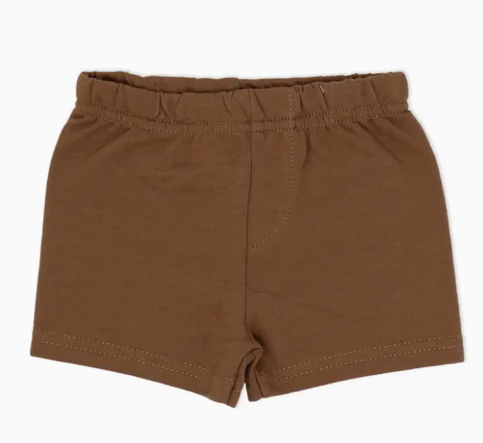Boys 4 Piece Short Set: Dinosaur