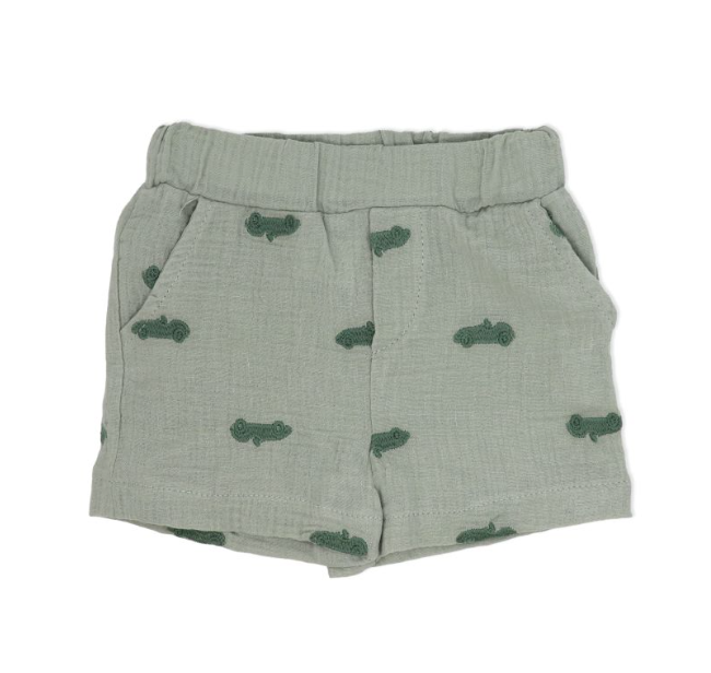 Boys 3 Piece Short Set: Sage