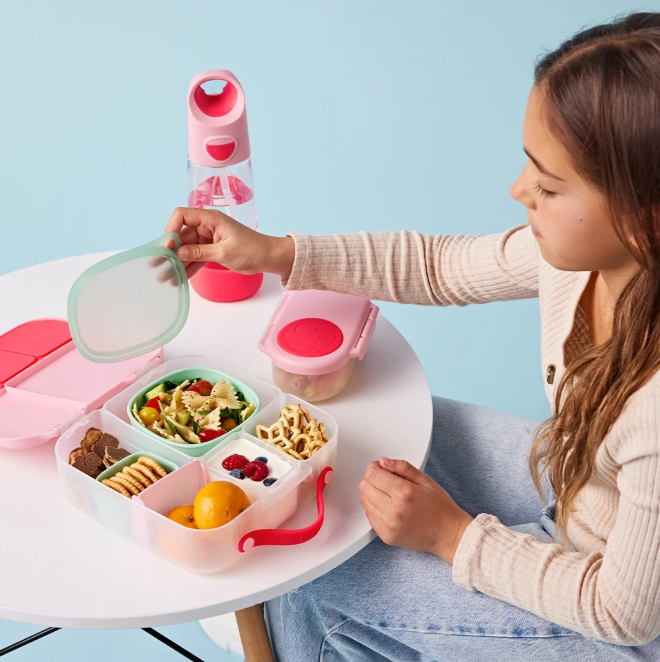 Lunch Tub - Berry