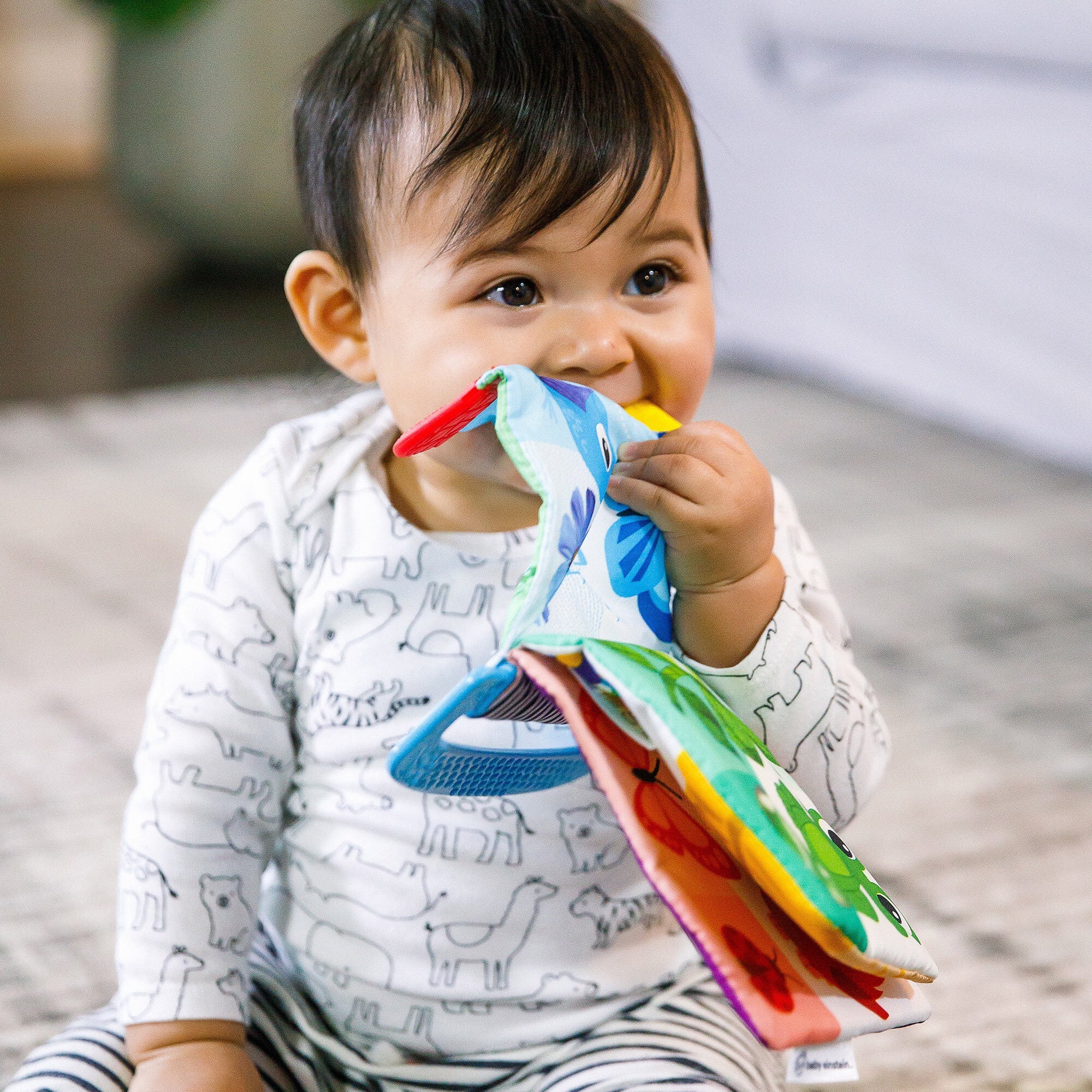 Curious Explorers Teether Bookâ„¢