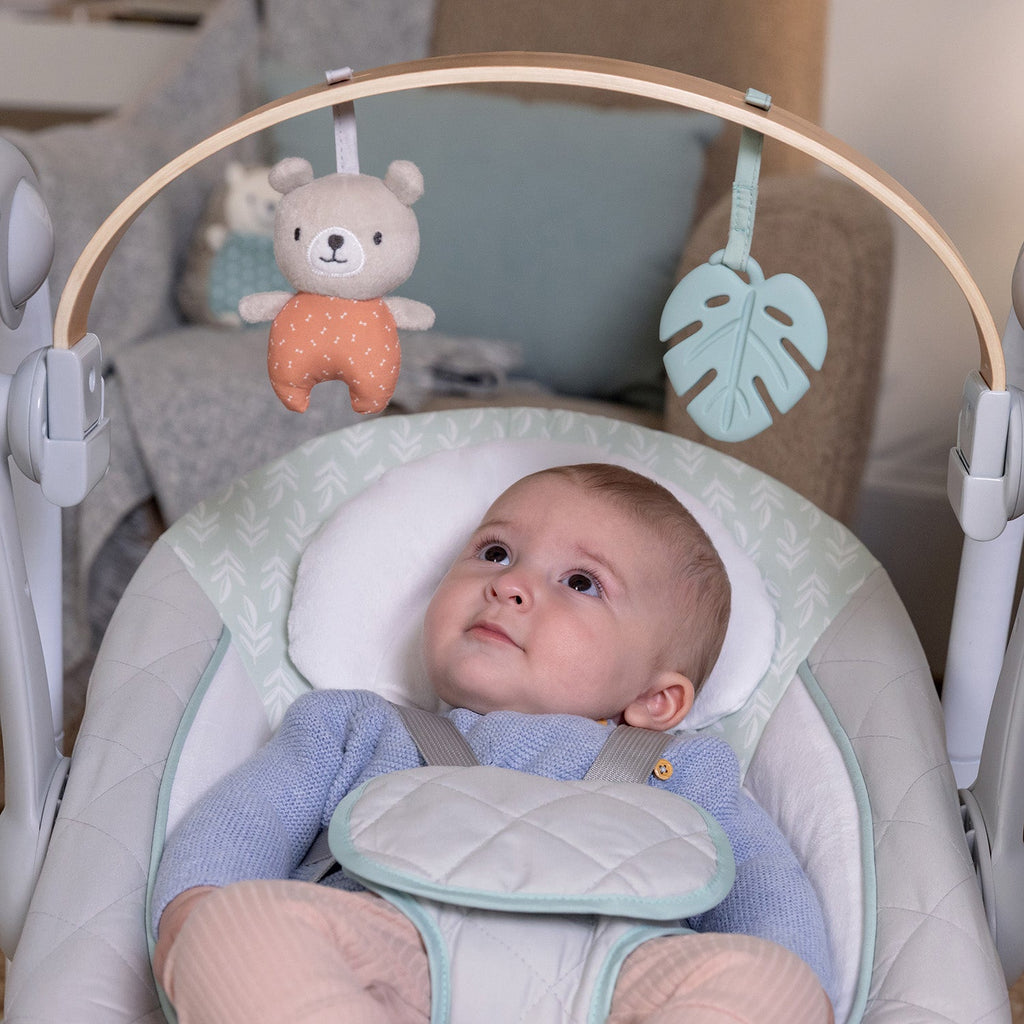 Cozy Spotâ„¢ Swing â€˜n Go Portable Swingâ„¢