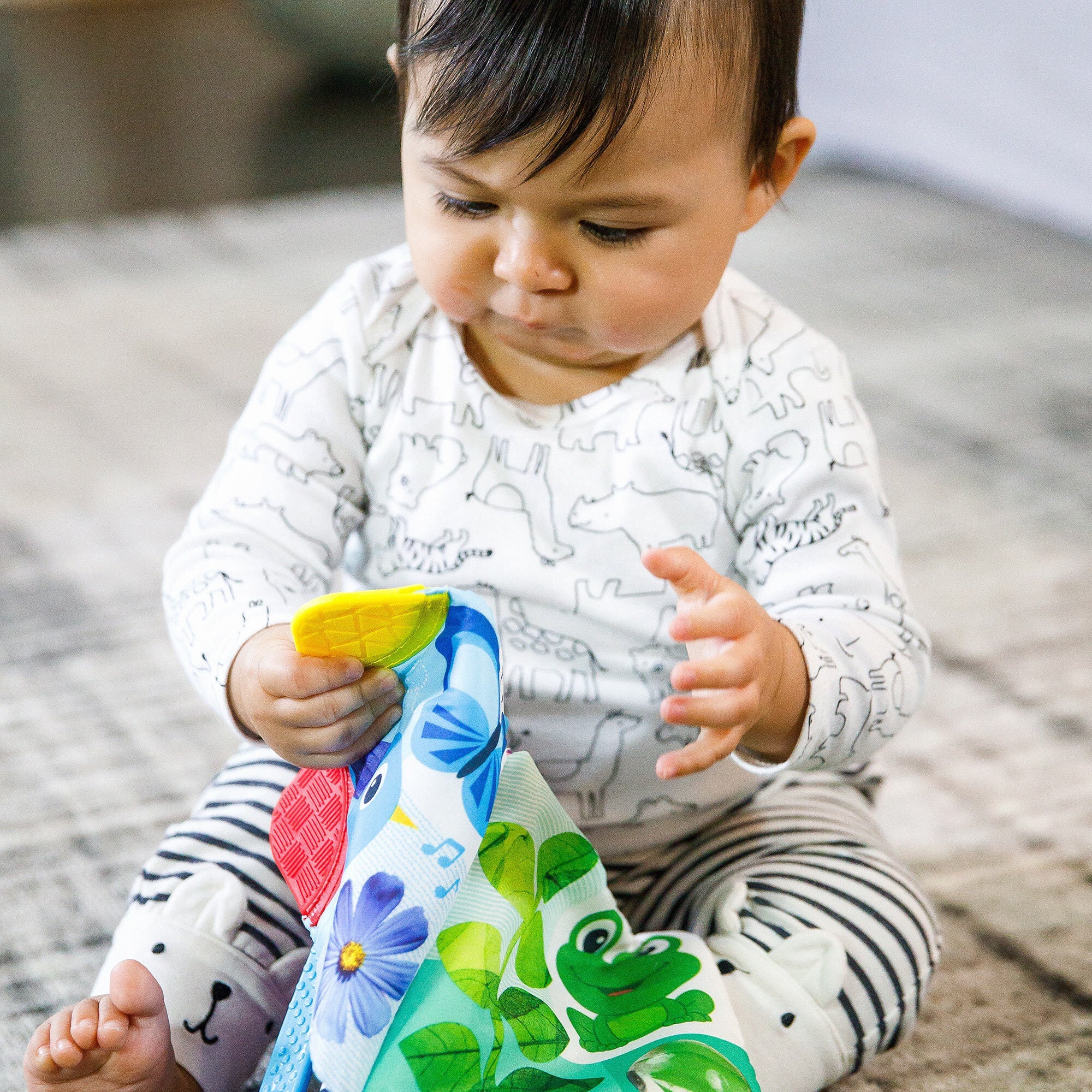 Curious Explorers Teether Bookâ„¢