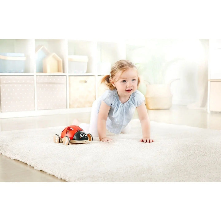Shape-Sorter Ladybug - Hape
